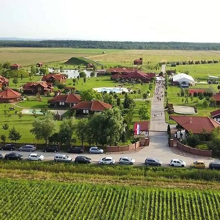Krasograd Villa Pisarovina Exteriör bild
